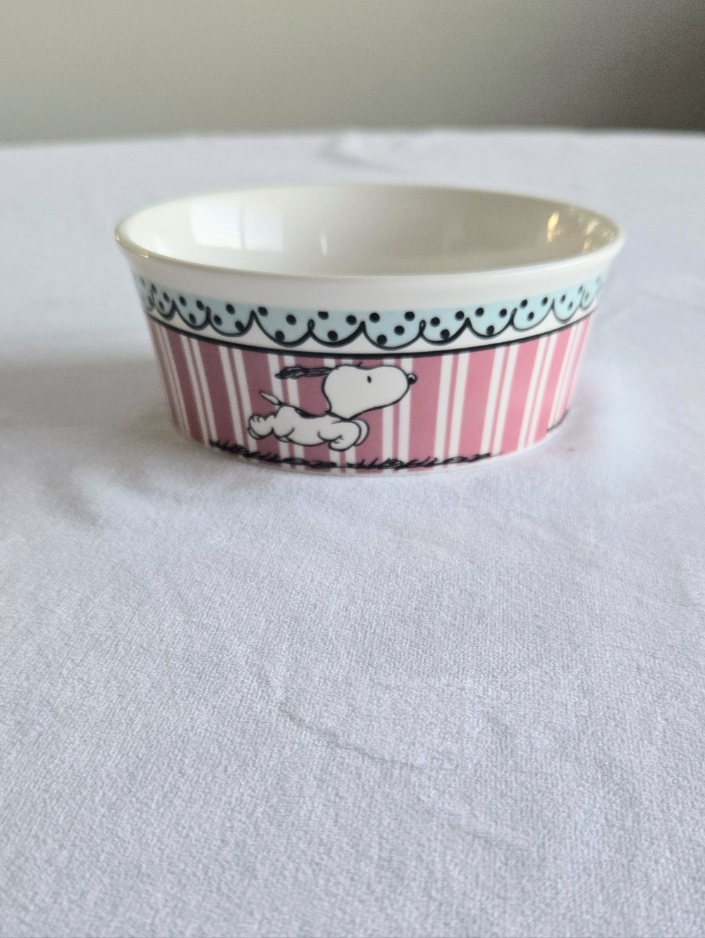 PEANUTS Snoopy Pet Food Bowl Dog Cat NWT